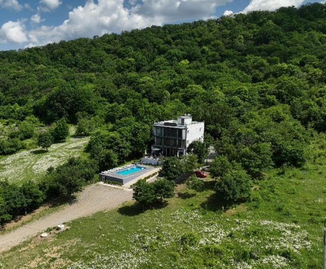 Villa Lapa Telavi Extérieur photo